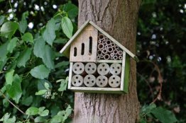 Insektenhotel Auf Dem Balkon Aufstellen: Das Ist Zu Beachten